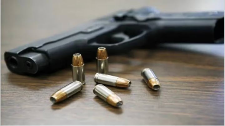 Representative Image: Pistol फाइल फोटो: पिस्तौल Representative Image: Pistol फाइल फोटो: पिस्तौल