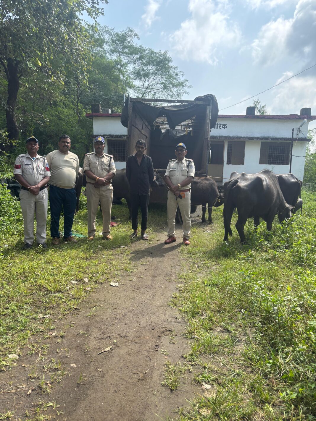 पुलिस की गिरफ्त में आरोपी चालक और वाहनव पशु पुलिस की गिरफ्त में आरोपी चालक और वाहनव पशु