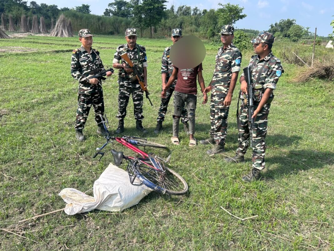 अररिया फोटो:साइकिल सवार से गांजा की बरामदगी अररिया फोटो:साइकिल सवार से गांजा की बरामदगी