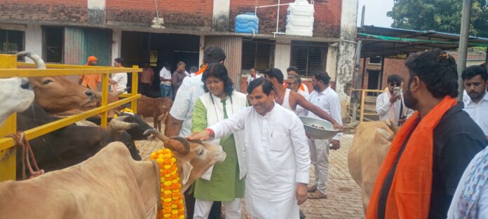सेवा संकल्प यात्रा के तहत गौशाला में गायों को गुड़ खिलाते हुए नगर पालिका परिषद अध्यक्ष के प्रतिनिधि राम सूरत मौर्य