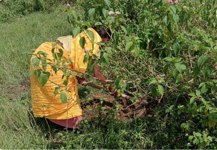 मृत बच्चे के शव को खोदकर निकालती महिला