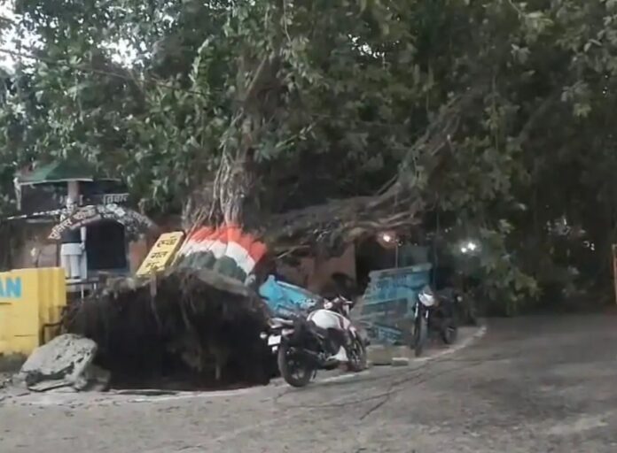 पेड़ के नीचे दबी बाइकें
