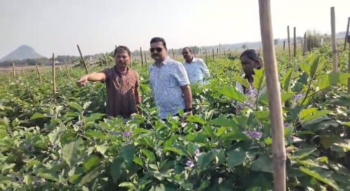 खेतो में किसानों से जानकारी लेते कृषि निदेशक
