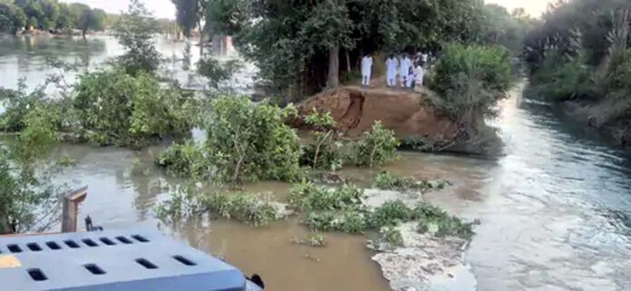 सिद्धमुख ब्रांच नहर टूटने के बाद खेतों और ढाणियों में भरा पानी। सिद्धमुख ब्रांच नहर टूटने के बाद खेतों और ढाणियों में भरा पानी।